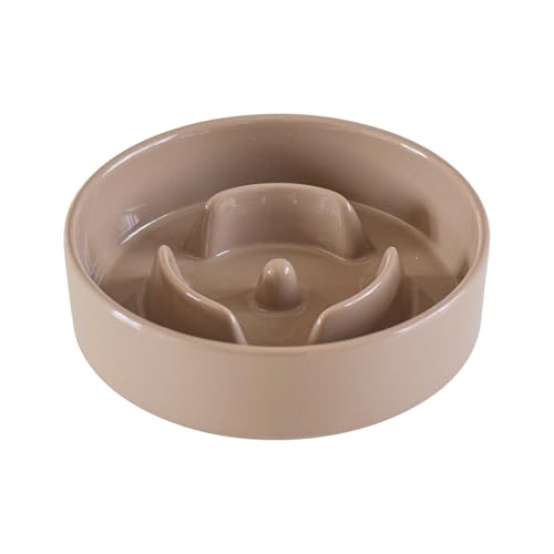 Ceramic Slow Feeder Dog Bowl