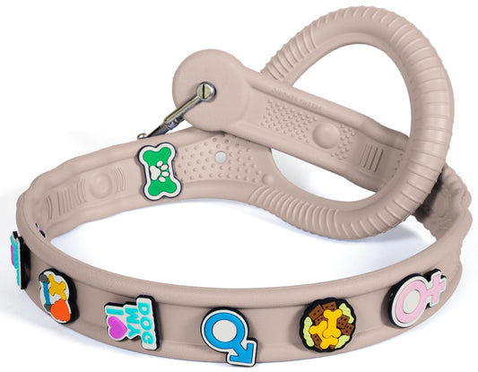 Personalized Waterproof Dog Leash with Charm System
