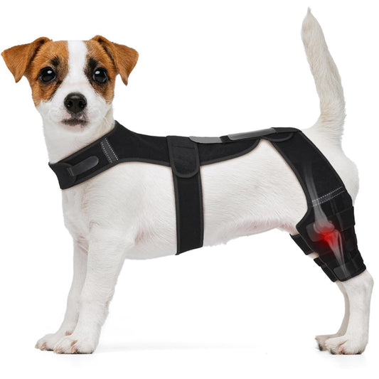 Dog Rear Leg Knee Brace with Support Harness