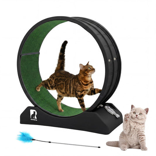Indoor Cat Exercise Wheel with Carpeted Runway