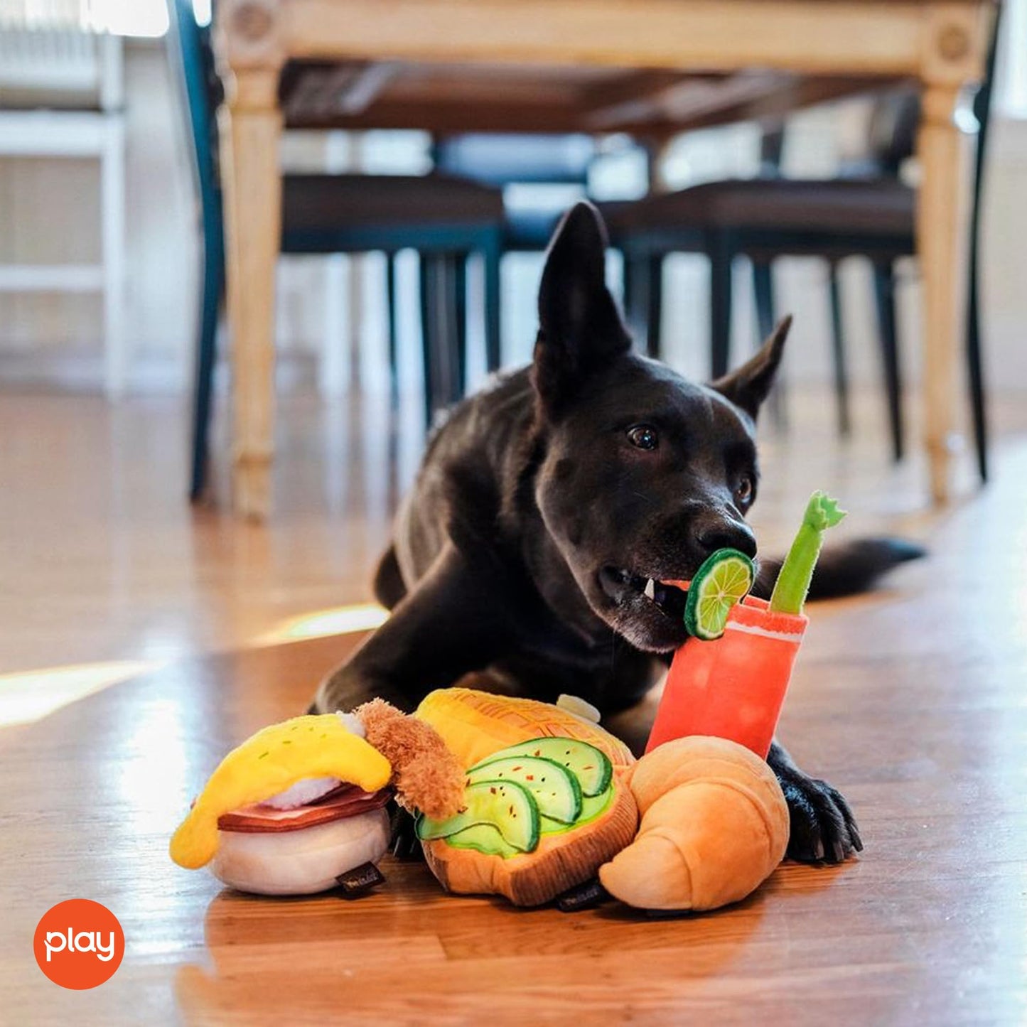 Food-Themed Plush Squeaky Dog Toys
