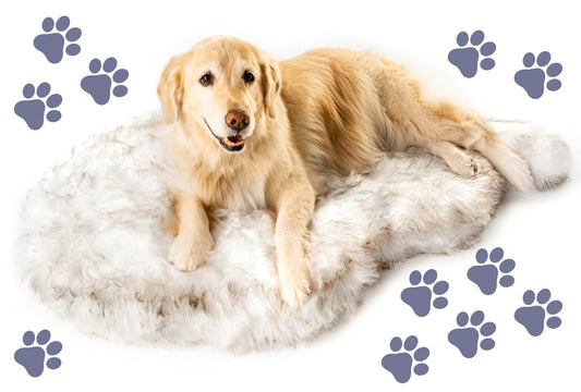 Orthopedic Memory Foam Dog Bed with Faux Fur