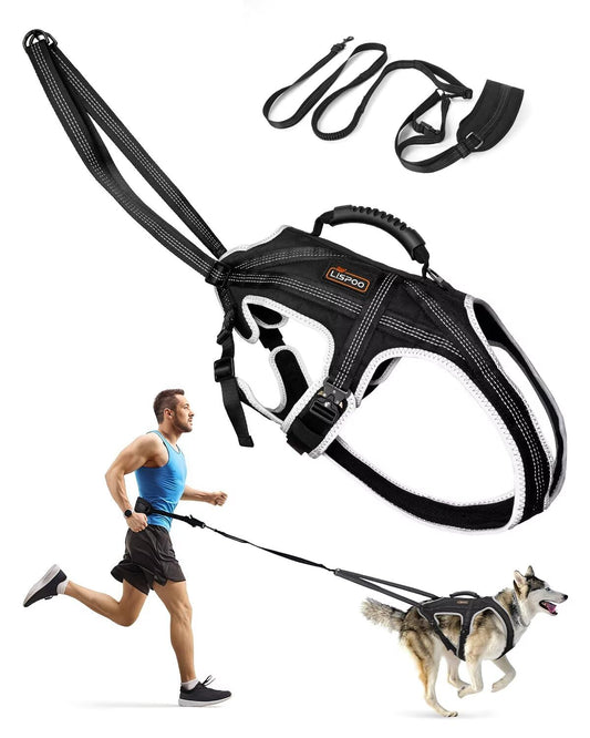 Dog Pulling Harness Set with Shock-Absorbing Leash