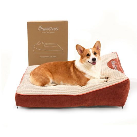 Pawccoli Orthopedic Dog Bed Dog Couch
