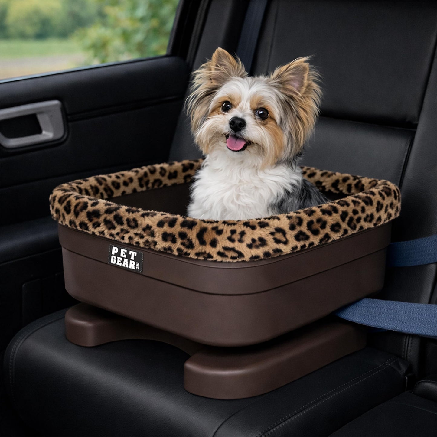 Pet Booster Seat with Washable Pillow & Safety Tethers