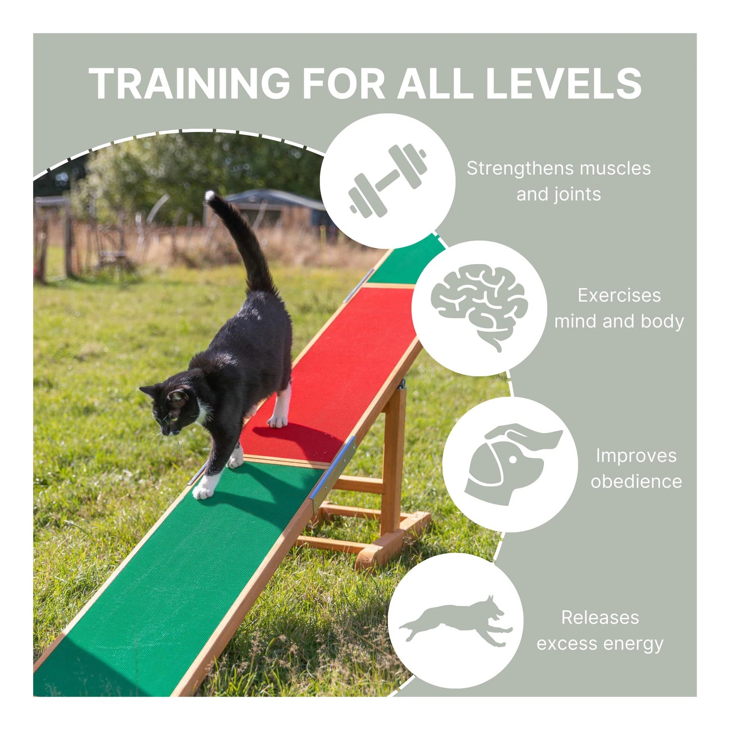 TRIXIE Dog Agility Seesaw, Canine Agility Training, Competition Seesaw, Teeter Set