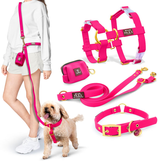 Waterproof Hands-Free Dog Leash Set