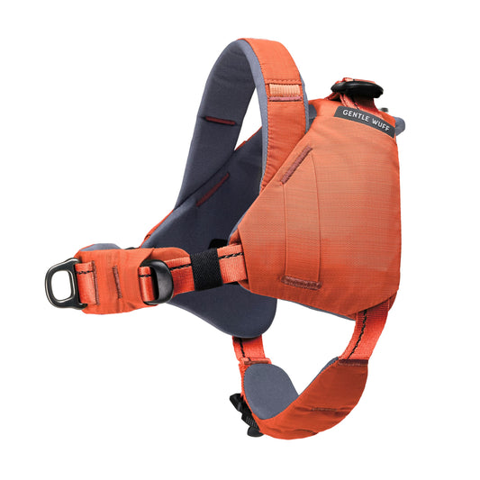 Adventure Dog Harness with Quick-Release Buckle