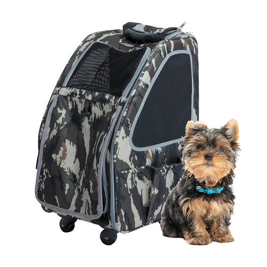Petique 5-in-1 Pet Carrier