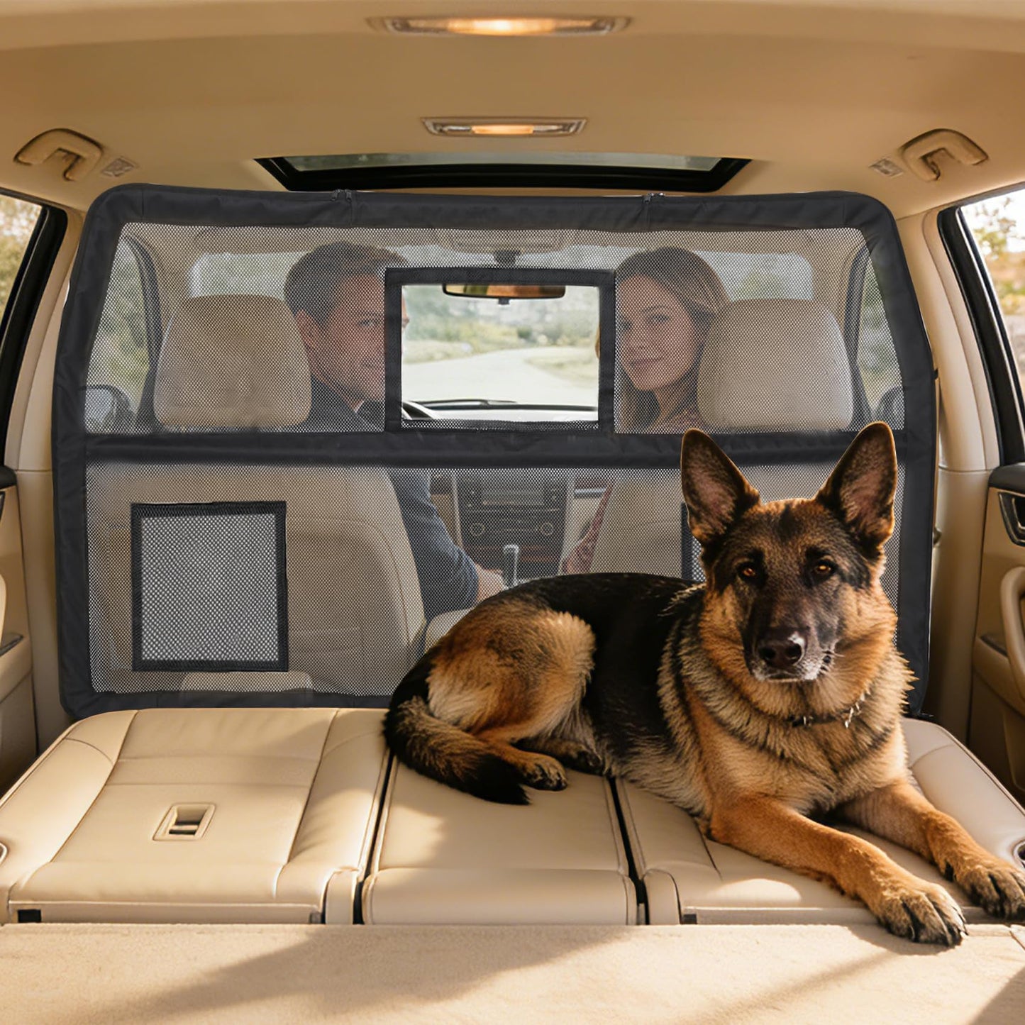 benut Dog Car Barrier with Window & Steel Frame