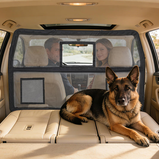 benut Dog Car Barrier with Window & Steel Frame