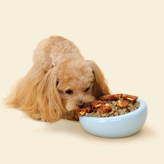 Tilted Ceramic Pet Bowl with Anti-Spill Design