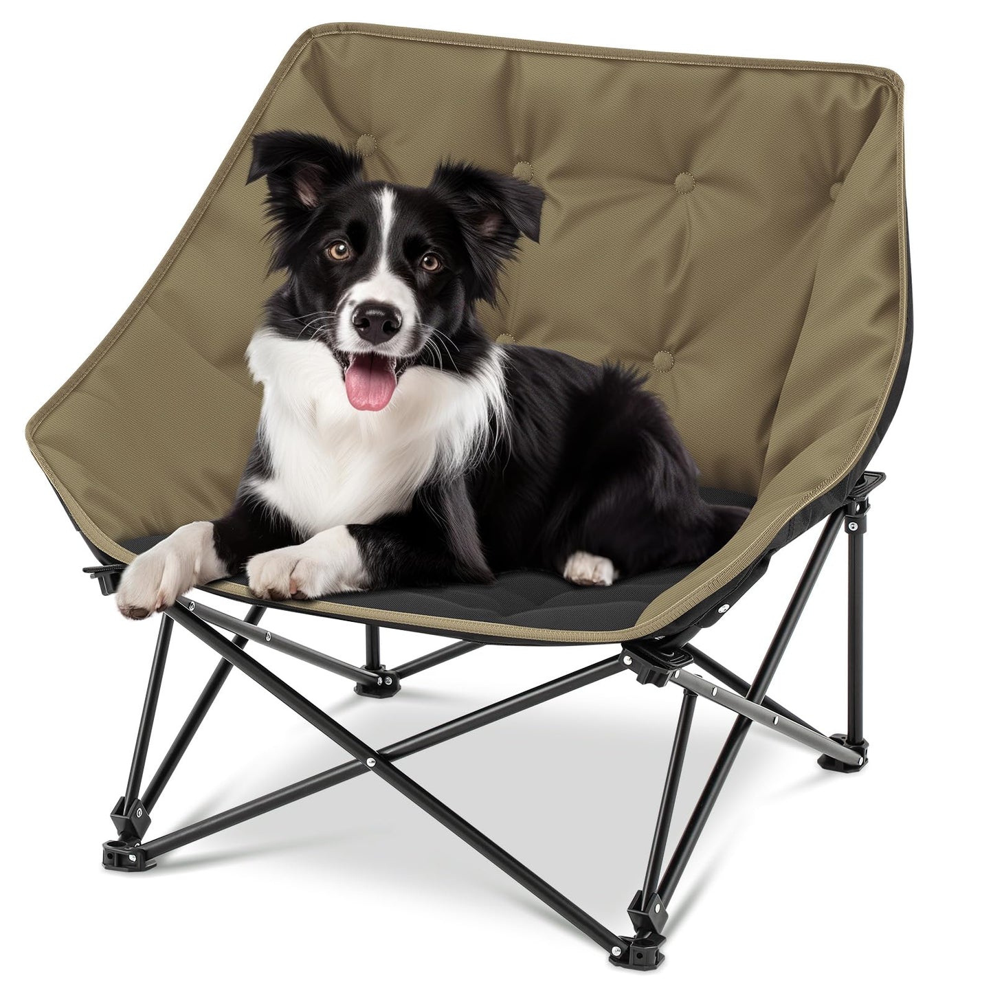 Portable Raised Dog Camping Chair