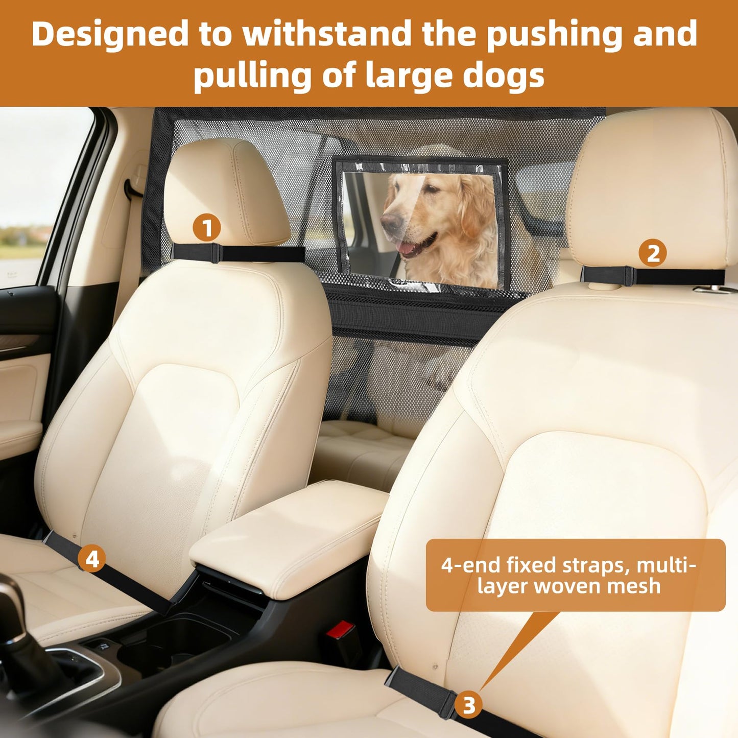 benut Dog Car Barrier with Window & Steel Frame