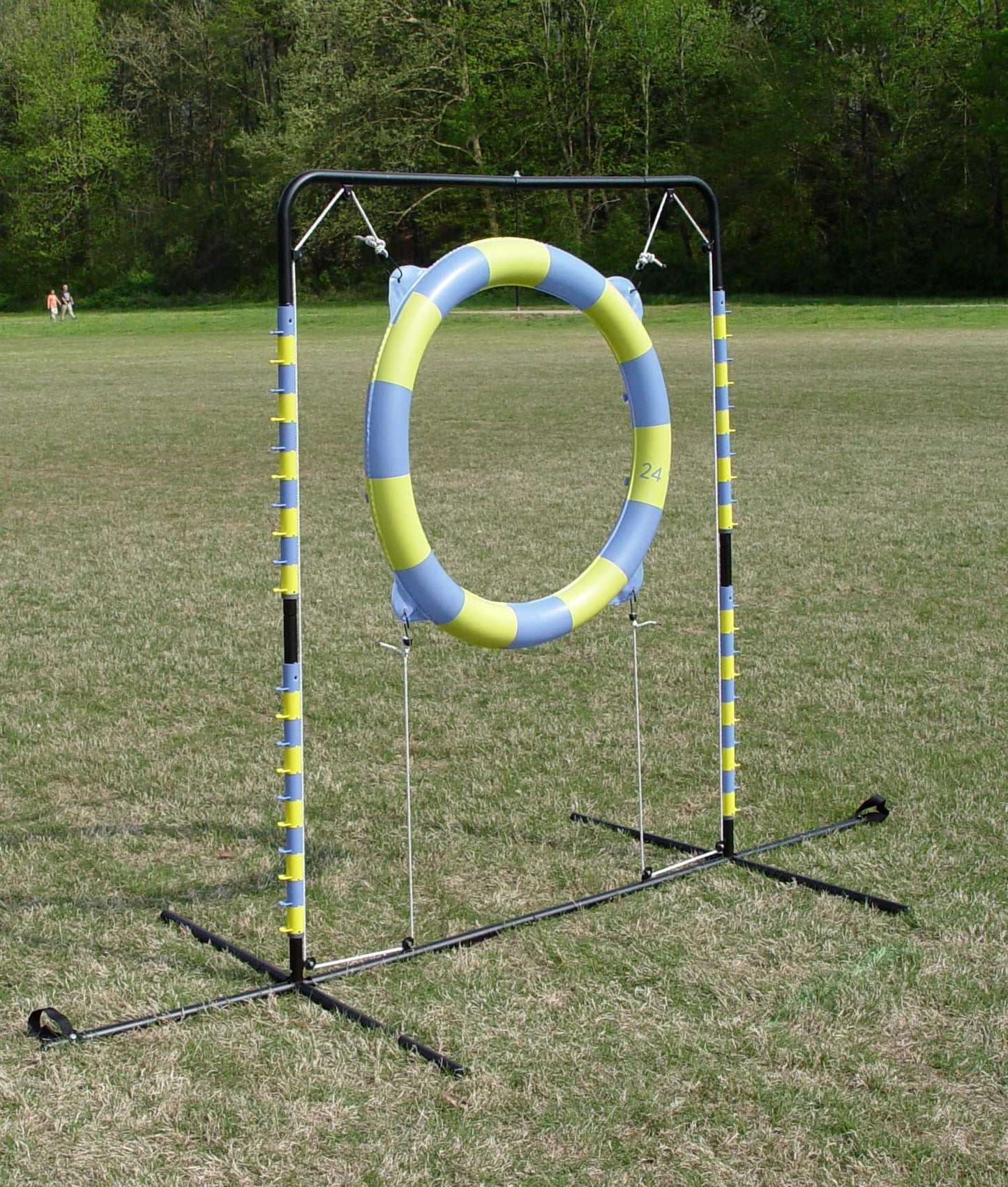 Agility Tire Jump (Hoop Jump)