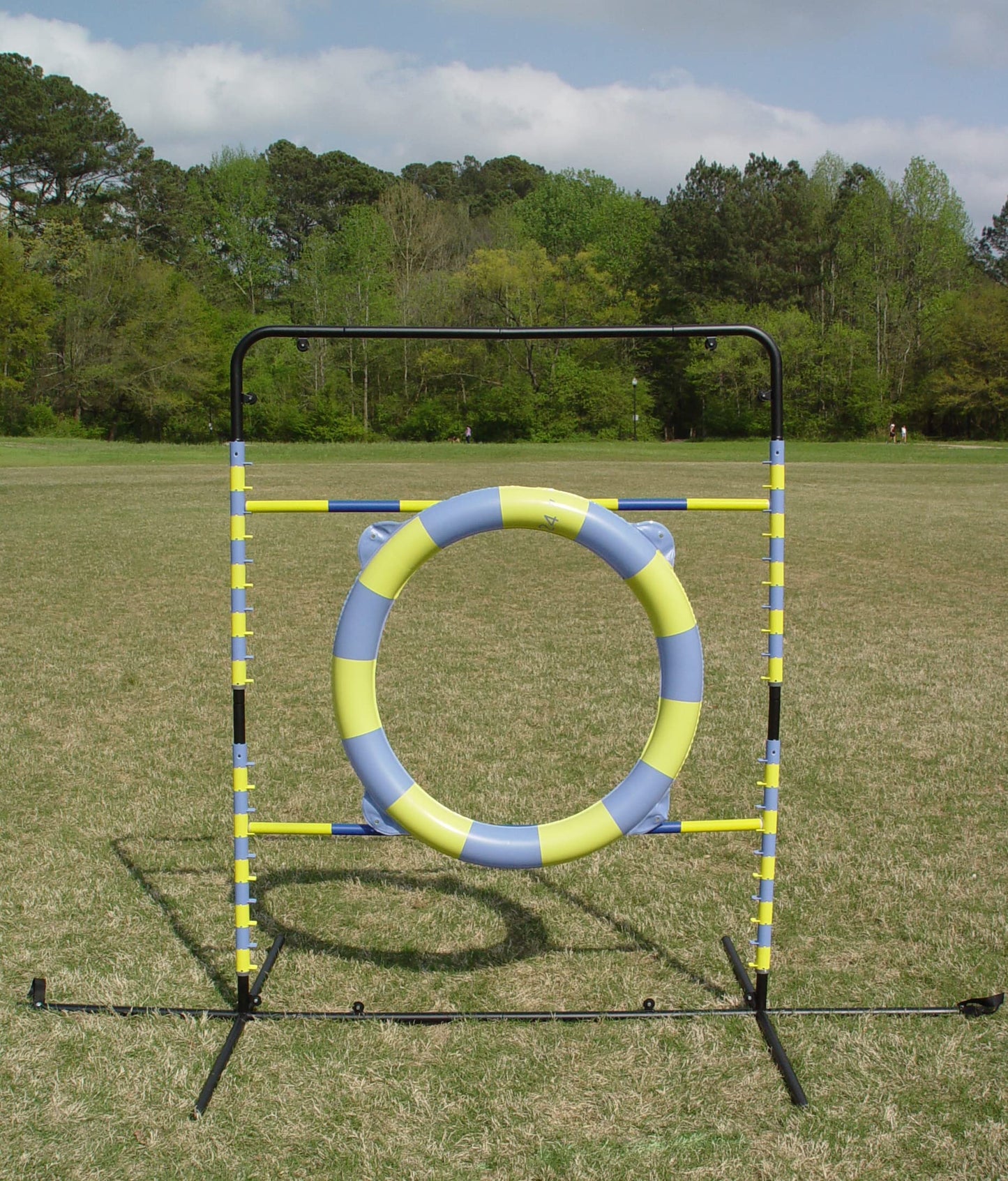 Agility Tire Jump (Hoop Jump)