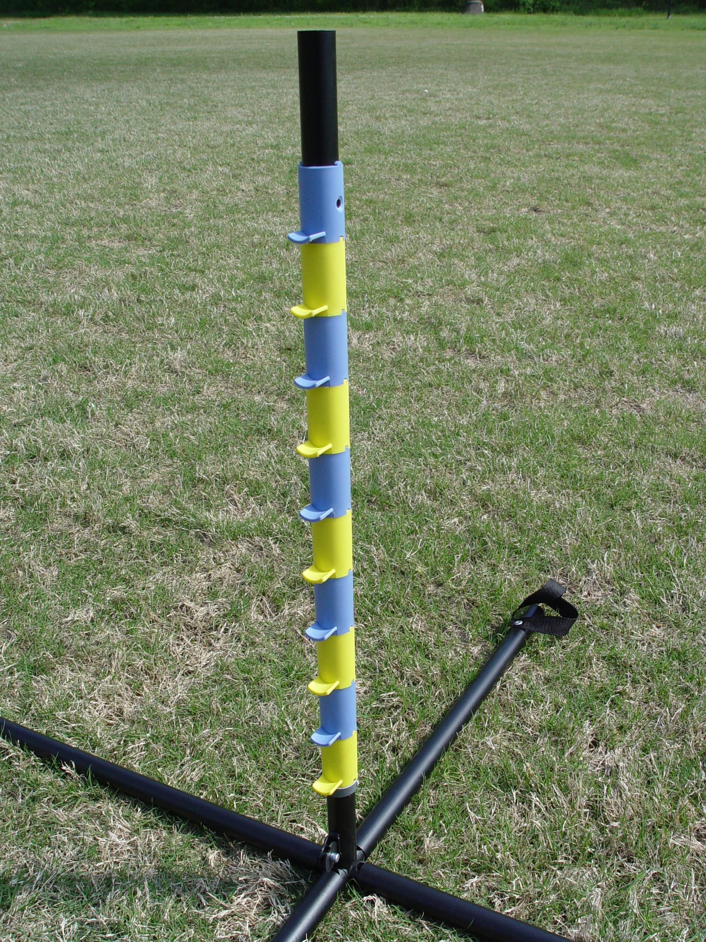 Agility Tire Jump (Hoop Jump)